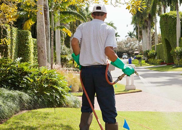 About Franklin MA Pest Control Pros